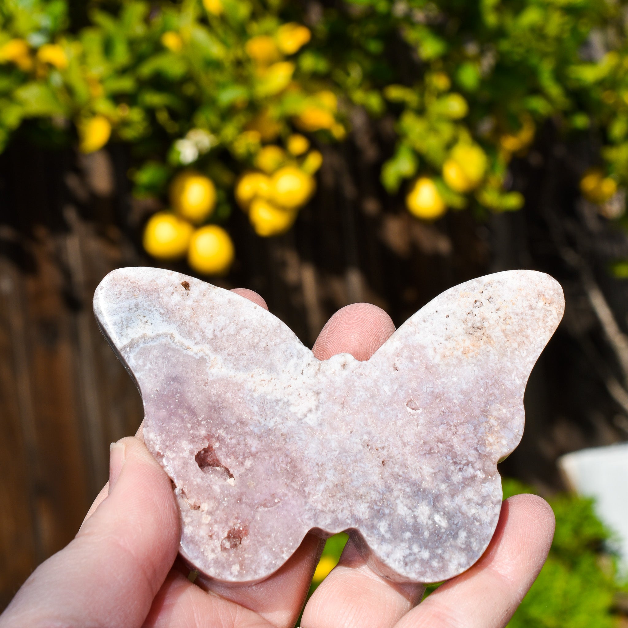 Pink Amethyst Butterfly