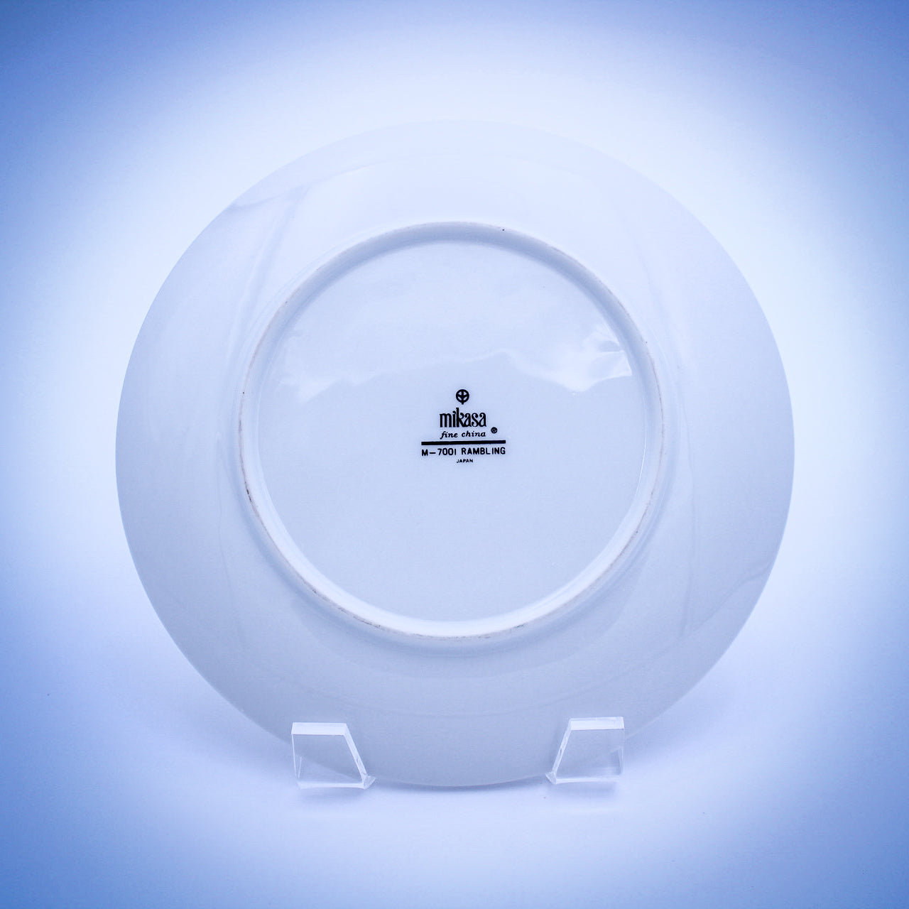 Mikasa Rambling Salad Plates Set of 4 – Platinum Rim, Discontinued