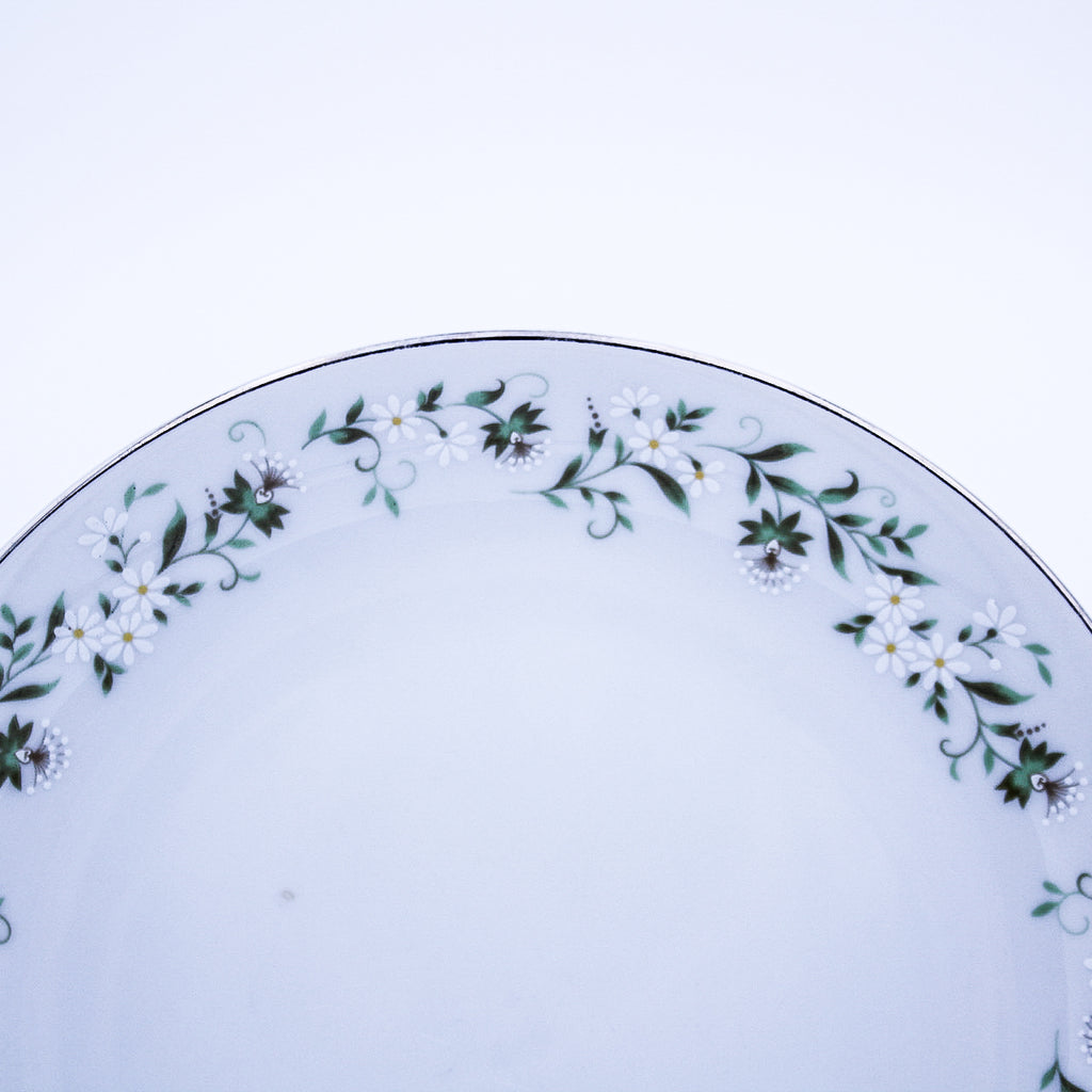 Mikasa Rambling Salad Plates Set of 4 – Platinum Rim, Discontinued