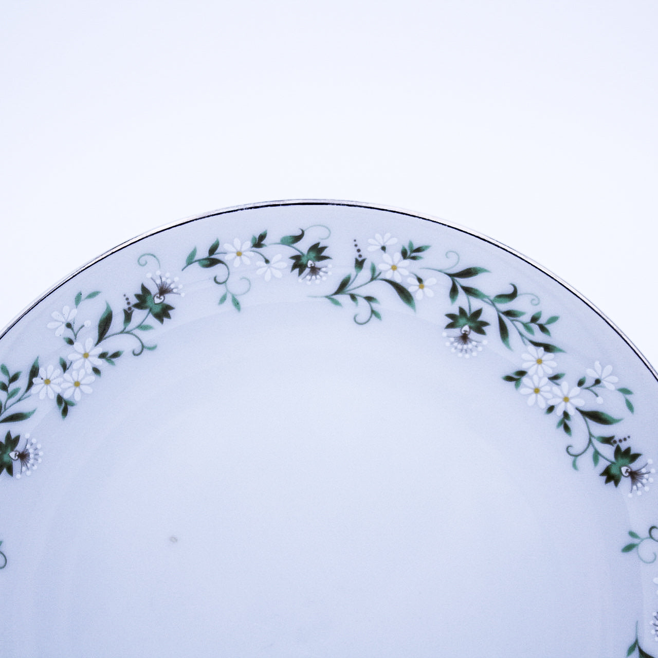 Mikasa Rambling Salad Plates Set of 4 – Platinum Rim, Discontinued