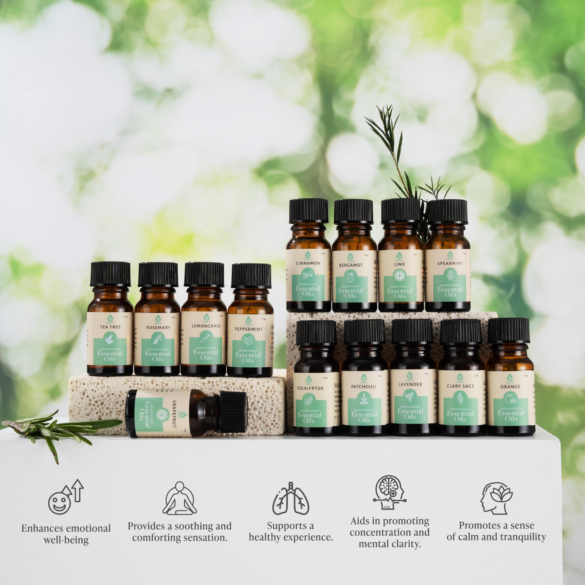 Seasonal Scents Christmas Essential Oils Collection